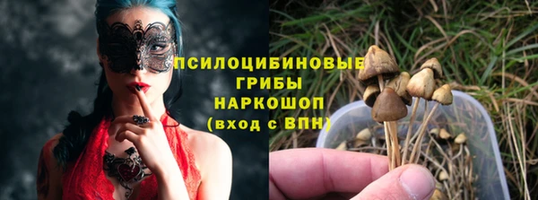 a pvp Алексин