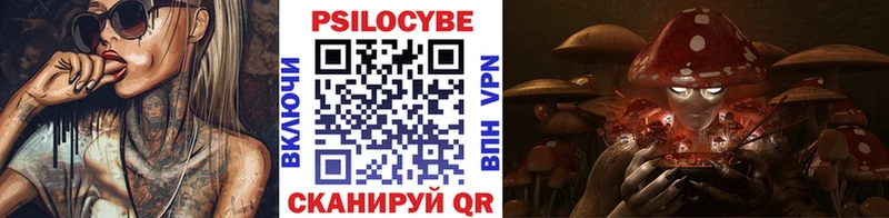 Галлюциногенные грибы Psilocybe  Новосибирск 