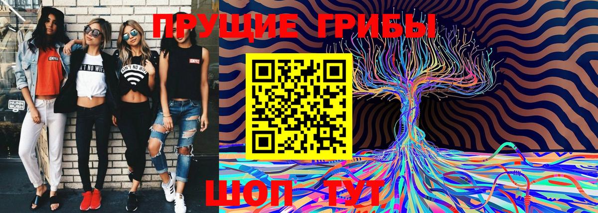 Галлюциногенные грибы ЛСД  Вход с VPN  как найти закладки  Новосибирск 